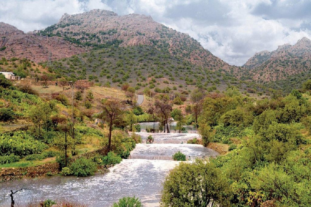 لماذا يجب أن تخطط لرحلتك الصيفية الآن؟