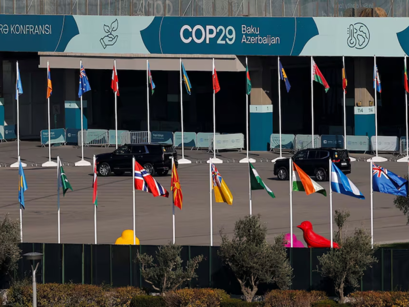 COP29