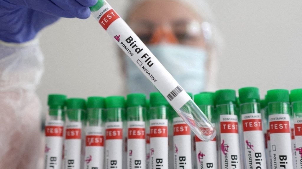 أول حالة وفاة بأنفلونزا الطيور في الولايات المتحدة