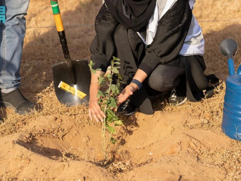 شرط رخصة البناء