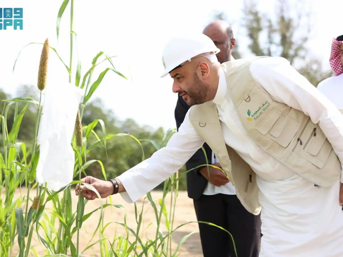 منصة نما الإلكترونية