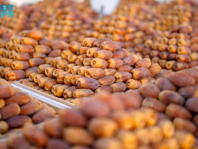 التمور السعودية