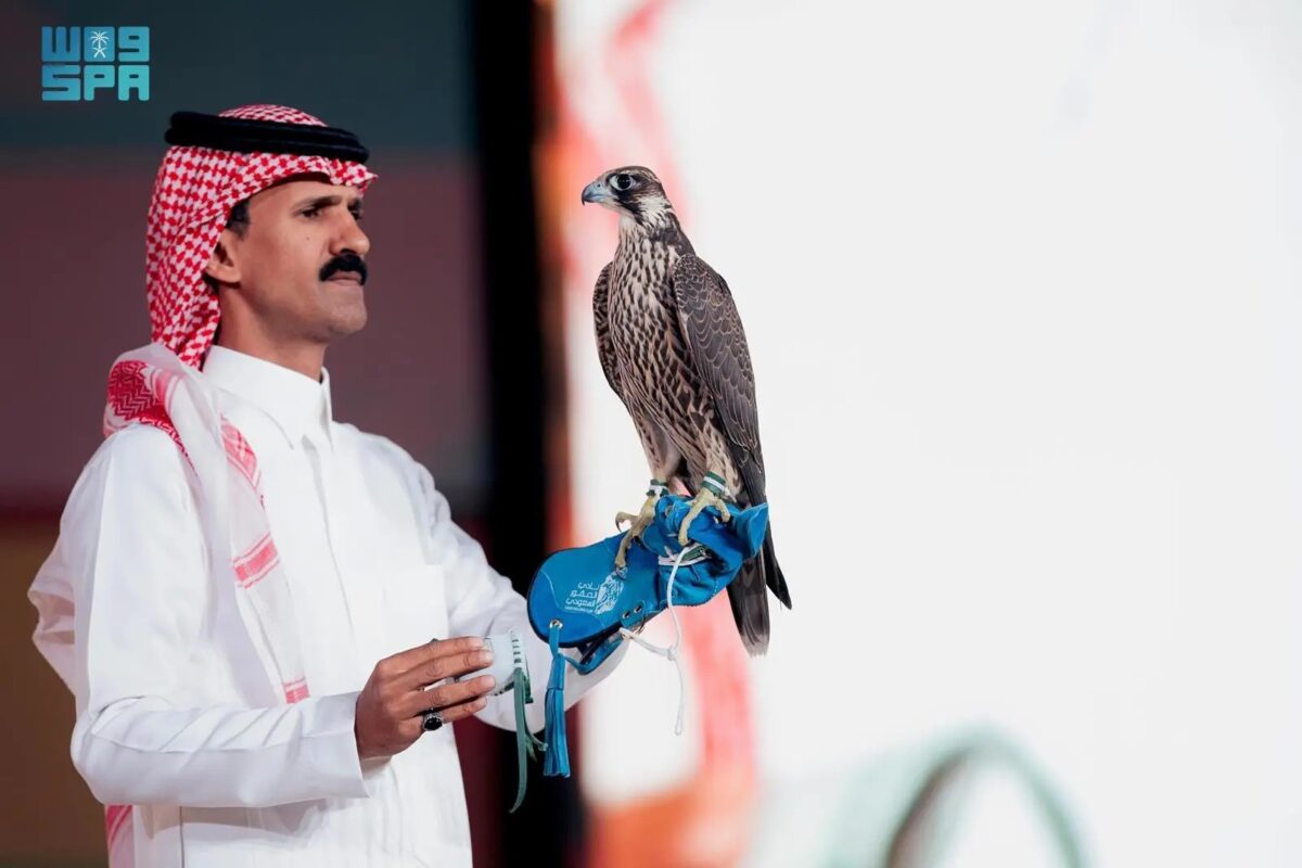 أغلى صقر شاهين فرخ