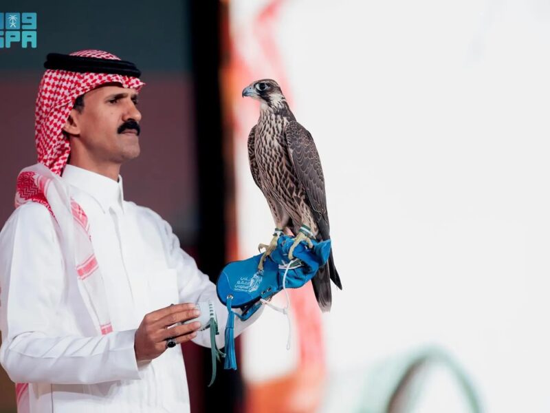 أغلى صقر شاهين فرخ