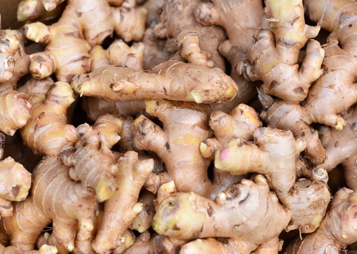 الزنجبيل يسبب أمراض شائعة لفت مواقع التواصل الاجتماعي في السعودية