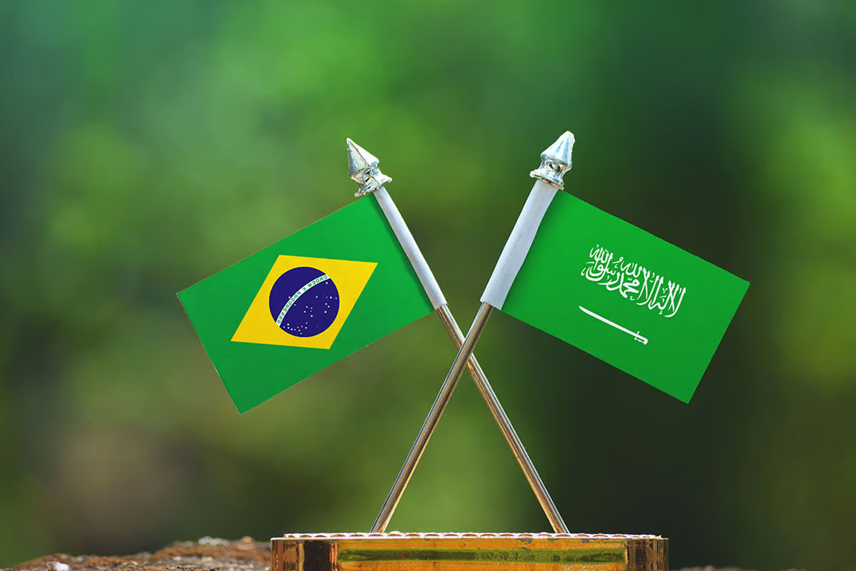 صندوق الاستثمارات العامة السعودي مهتم بالاستثمار في البرازيل